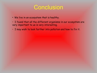Conclusion We live in an ecosystem that is healthy. I found that all the different organisms in our ecosystem are very important to us is very interesting. I may wish to look farther into pollution and how to fix it. 