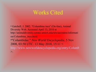 Works Cited Gatchell, J. 2002. "Columbina inca" (On-line), Animal Diversity Web. Accessed April 13, 2010 at http://animaldiversity.ummz.umich.edu/site/accounts/information/Columbina_inca.html.   "Columbidae."  New World Encyclopedia . 5 Nov 2008, 03:58 UTC. 13 May 2010, 15:11 < http://www.newworldencyclopedia.org/entry/Columbidae?oldid=844951 >.  