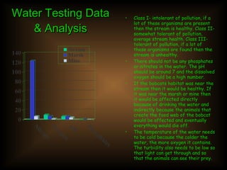 Water Testing Data & Analysis Class I- intolerant of pollution, if a lot of these organisms are present then the stream is healthy. Class II- somewhat tolerant of pollution, average stream health. Class III- tolerant of pollution, if a lot of these organisms are found then the stream is unhealthy. There should not be any phosphates or nitrates in the water. The pH should be around 7 and the dissolved oxygen should be a high number. If the bobcats habitat was near the stream then it would be healthy. If it was near the marsh or mine then it would be affected directly because of drinking the water and indirectly because the animals that create the food web of the bobcat would be affected and eventually everything would die off. The temperature of the water needs to be cold because the colder the water, the more oxygen it contains. The turbidity also needs to be low so that light can get through and so that the animals can see their prey. 
