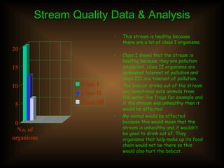 Stream Quality Data & Analysis This stream is healthy because there are a lot of class I organisms. Class I shows that the stream is healthy because they are pollution intolerant, class II organisms are somewhat tolerant of pollution and class III are tolerant of pollution. The bobcat drinks out of the stream and sometimes eats animals from the water like frogs for example and if the stream was unhealthy then it would be affected My animal would be affected because this would mean that the stream is unhealthy and it wouldn’t be good to drink out of. They organisms that help make up its food chain would not be there so this would also hurt the bobcat. 