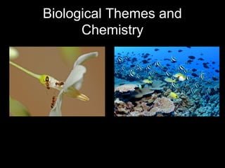 Biological Themes and
      Chemistry
 