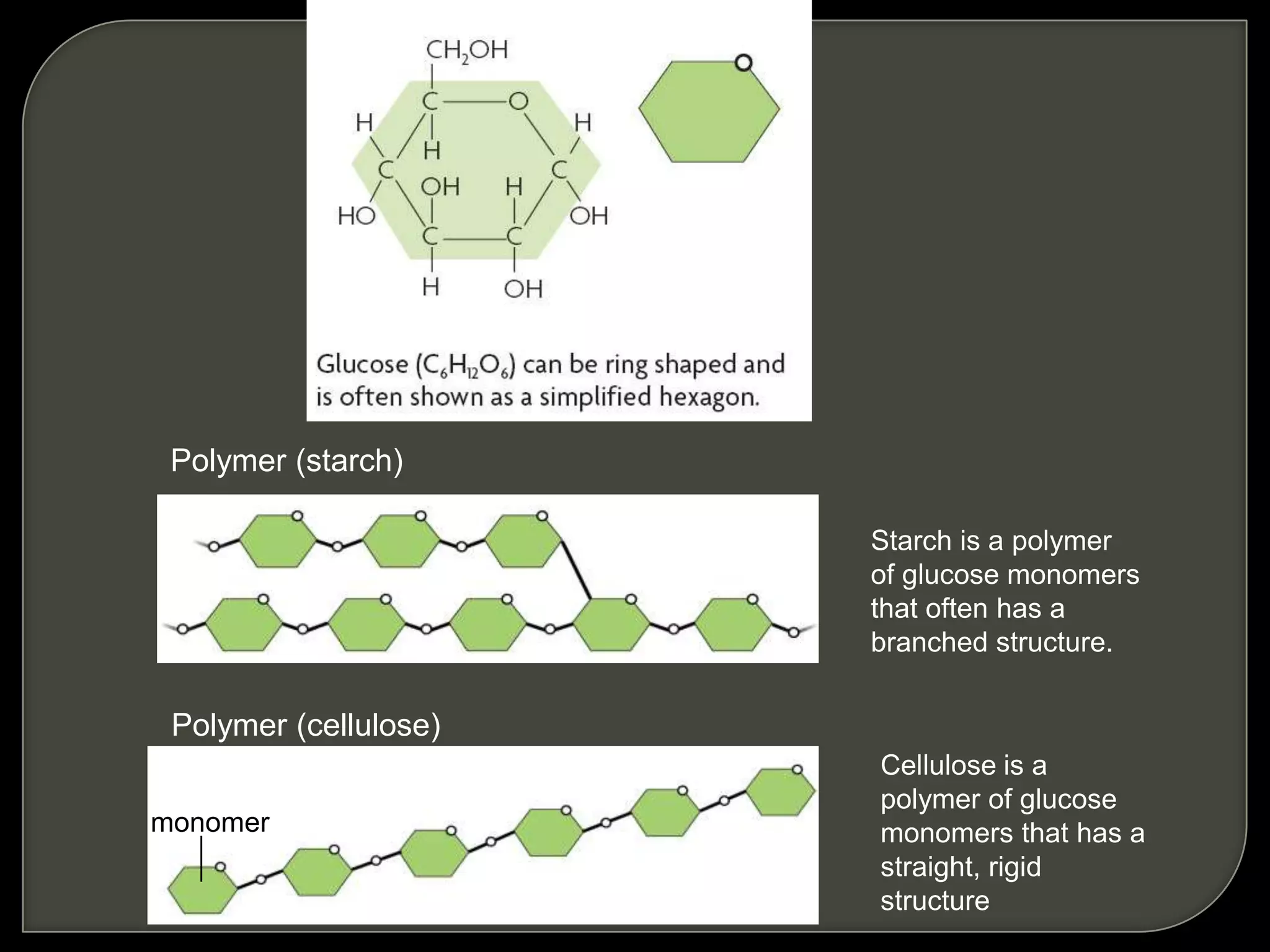 Polymer (starch)
Starch is a polymer
of glucose monomers
that often has a
branched structure.
Polymer (cellulose)
Cellulose is a
polymer of glucose
monomers that has a
straight, rigid
structure
monomer
 