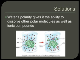 Water’s polarity gives it the ability to
dissolve other polar molecules as well as
ionic compounds
 