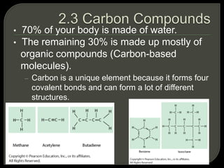• 70% of your body is made of water.
• The remaining 30% is made up mostly of
organic compounds (Carbon-based
molecules).
– Carbon is a unique element because it forms four
covalent bonds and can form a lot of different
structures.
 