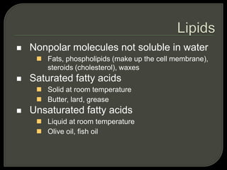  Nonpolar molecules not soluble in water
 Fats, phospholipids (make up the cell membrane),
steroids (cholesterol), waxes
 Saturated fatty acids
 Solid at room temperature
 Butter, lard, grease
 Unsaturated fatty acids
 Liquid at room temperature
 Olive oil, fish oil
 