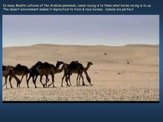 In many Muslim cultures of the Arabian peninsula, camel racing is to them what horse racing is to us.
The desert environment makes it impractical to train & race horses. Camels are perfect.
 