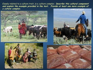 Closely related to a culture trait, is a culture complex. Describe this cultural component
and explain the example provided in the text. Provide at least one more example of
a culture complex.
 