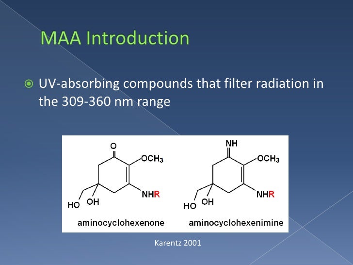 Senior honors thesis image
