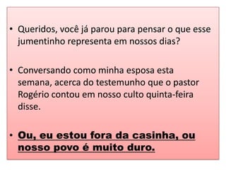 • Queridos, você já parou para pensar o que esse
  jumentinho representa em nossos dias?

• Conversando como minha esposa esta
  semana, acerca do testemunho que o pastor
  Rogério contou em nosso culto quinta-feira
  disse.

• Ou, eu estou fora da casinha, ou
  nosso povo é muito duro.
 