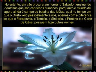 Honras VãS. Jr Cordeiro.