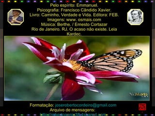 Honras VãS. Jr Cordeiro.