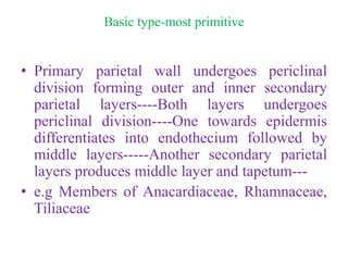 Anther Wall Structure | PDF