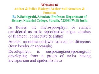 Welcome to
Anther & Pollen Biology: Anther wall-structure &
Function
By N.Sannigrahi, Associate Professor, Department of
Botany, Nistarini College, Purulia, 723101(W.B) India
In flower, the microsporophyll or stamen
considered as male reproductive organ consists
of filament , connective & anther
Anther- monothecous(two locules) or dithecous
(four locules or sporangia)
Development is eusporangiate(Sporangium
developing from a group of cells) having
archsporium and epidermis in t.s
 