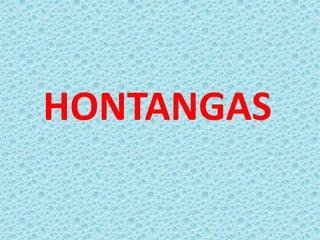 HONTANGAS
 