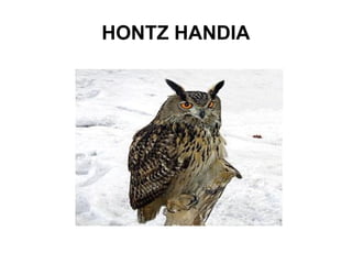 HONTZ HANDIA
 
