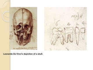 Leonardo Da Vinci's depiction of a skull.
 