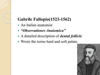 Gabrile Fallopio(1523-1562)
 An Italian anatomist
 “Observationes Anatomica”
 A detailed description of dental follicle
 Wrote the terms hard and soft palate.
 
