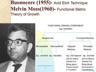Buonocore (1955)- Acid Etch Technique
Melvin Moss(1960)- Functional Matrix
Theory of Growth
 