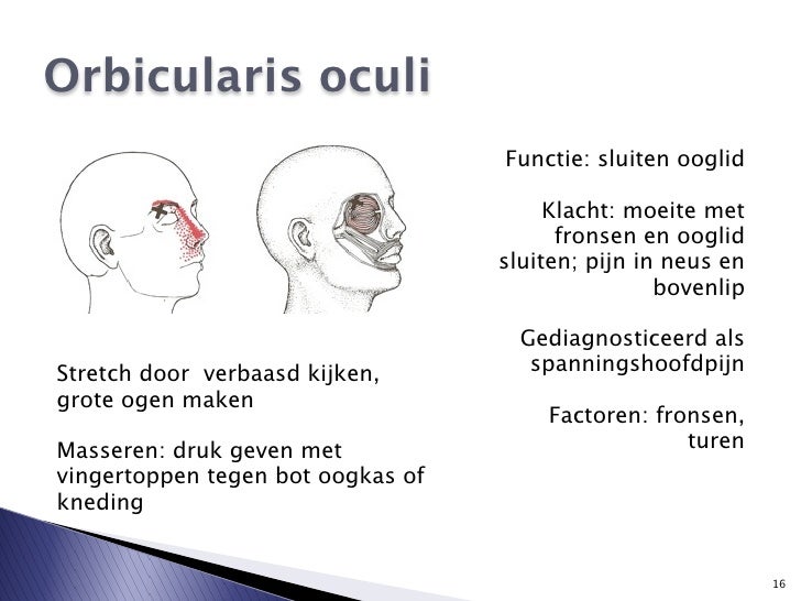 hoofdpijn boven oogkas