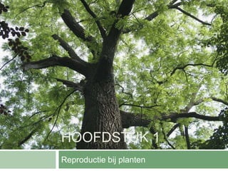 HOOFDSTUK 1
Reproductie bij planten
 