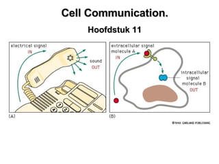 Cell communication. Hoofdstuk 11. Cell Communication. Hoofdstuk 11 