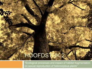 HOOFDSTUK 2
“Ecological processes and impact of habitat fragmentation
on sexual reproduction of heterostylous plants”
 