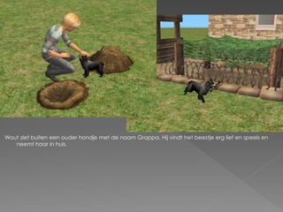 Wout ziet buiten een ouder hondje met de naam Grappa. Hij vindt het beestje erg lief en speels en
   neemt haar in huis.
 