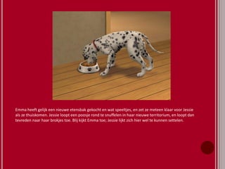 Emma heeft gelijk een nieuwe etensbak gekocht en wat speeltjes, en zet ze meteen klaar voor Jessie
als ze thuiskomen. Jessie loopt een poosje rond te snuffelen in haar nieuwe territorium, en loopt dan
tevreden naar haar brokjes toe. Blij kijkt Emma toe; Jessie lijkt zich hier wel te kunnen settelen.
 