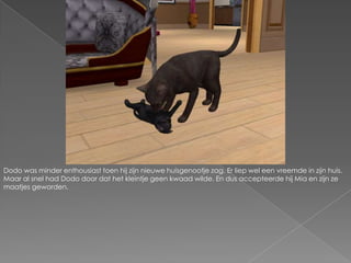 Dodo was minder enthousiast toen hij zijn nieuwe huisgenootje zag. Er liep wel een vreemde in zijn huis. Maar al snel had Dodo door dat het kleintje geen kwaad wilde. En dus accepteerde hij Mia en zijn ze maatjes geworden.