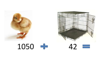 1050 42
 