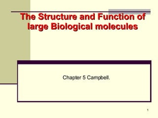 The Structure and Function of large Biological molecules Chapter 5 Campbell. 