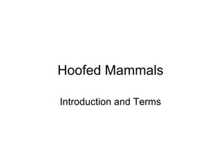 Hoofed Mammals Introduction and Terms 