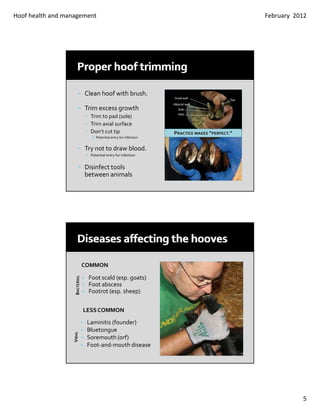 Hoof Health Slide 5