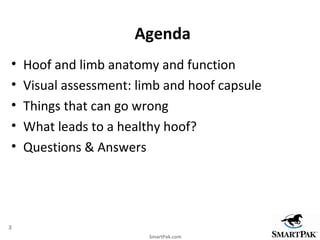 Agenda
•   Hoof and limb anatomy and function
•   Visual assessment: limb and hoof capsule
•   Things that can go wrong
• ...