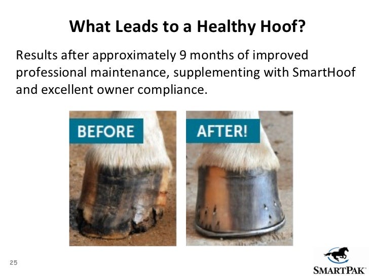 SmartPak Presents Healthy Hooves 360 expert hoof care advice from f…