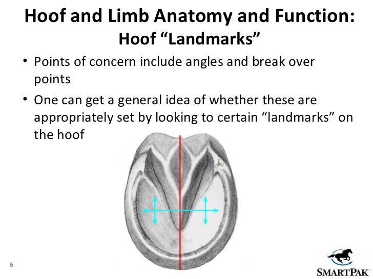 SmartPak Presents Healthy Hooves 360 expert hoof care advice from f…