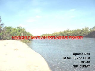 HOOGHLY-MATLAH ESTUARINE FISHERY
Upama Das
M.Sc. IF, 2nd SEM
RO-18
SIF, CUSAT
 