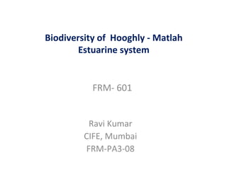 Biodiversity of Hooghly - Matlah
Estuarine system

FRM- 601
Ravi Kumar
CIFE, Mumbai
FRM-PA3-08

 