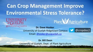 Dr. Dave Hooker
University of Guelph Ridgetown Campus
Email: dhooker@uoguelph.ca
Dr. Bill Deen
University of Guelph, Dept. of Plant Agriculture
@cropdoc2
Can Crop Management Improve
Environmental Stress Tolerance?
 