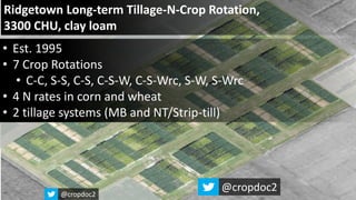 • Est. 1995
• 7 Crop Rotations
• C-C, S-S, C-S, C-S-W, C-S-Wrc, S-W, S-Wrc
• 4 N rates in corn and wheat
• 2 tillage systems (MB and NT/Strip-till)
Ridgetown Long-term Tillage-N-Crop Rotation,
3300 CHU, clay loam
@cropdoc2
@cropdoc2
 