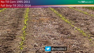 No-Till Corn 1995-2011
Fall Strip-Till 2012-2014
@cropdoc2
 
