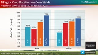 GrainYield(bu/ac)
Tillage x Crop Rotation on Corn Yields
Ridgetown 2009-16 using 120 lbs fertilizer N/ac
Note: Mean separation within tillage system (p=0.05)
157c
141c
152c
169b172b 174ab
192a
183a
100
110
120
130
140
150
160
170
180
190
200
Plow No-Till
C-S
C-C
C-S-W
C-S-Wrc
C-S
C-C
C-S-W
C-S-Wrc
@cropdoc2
 