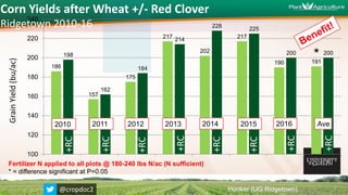 186
157
175
217
202
217
190 191
198
162
184
214
228
225
200 200
100
120
140
160
180
200
220
240
GrainYield(bu/ac)
2010 2011
Corn Yields after Wheat +/- Red Clover
Ridgetown 2010-16
+RC
2012 Ave
Hooker (UG Ridgetown)
Fertilizer N applied to all plots @ 180-240 lbs N/ac (N sufficient)
* = difference significant at P=0.05
2013
+RC
+RC
+RC
+RC
@cropdoc2
+RC
+RC
+RC
2014 2015 2016
*
 