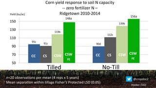 95c
90d91c
112c
119b
139b
148a
156a
50
70
90
110
130
150
Corn yield response to soil N capacity
-- zero fertilizer N –
Ridgetown 2010-2014
Hooker (UG)
Yield (bu/ac)
Tilled No-Till
n=20 observations per mean (4 reps x 5 years)
Mean separation within tillage Fisher’s Protected LSD (0.05)
CC CS CSW CSW
rc
@cropdoc2
CC CS CSW CSW
rc
 