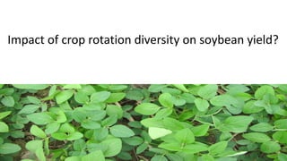 Impact of crop rotation diversity on soybean yield?
 