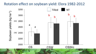 Rotation effect on soybean yield: Elora 1982-2012
2000
2200
2400
2600
2800
3000
3200
CCSS CCSW CCSWRC
Soybeanyields(kgha-1)
CS CSW CSWrc
a
b b
a
b b
Tilled NT
Deen (UG)
(36)
(42)
 