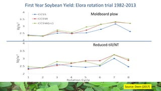 First Year Soybean Yield: Elora rotation trial 1982-2013
Moldboard plow
Reduced-till/NT
Source: Deen (2017)
 