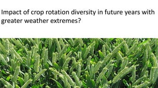 Impact of crop rotation diversity in future years with
greater weather extremes?
 