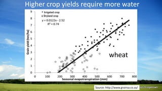 Source: http://www.grainsa.co.za/
Source: http://www.grainsa.co.za/
Higher crop yields require more water
wheat
 