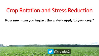 Crop Rotation and Stress Reduction
How much can you impact the water supply to your crop?
@cropdoc2
 